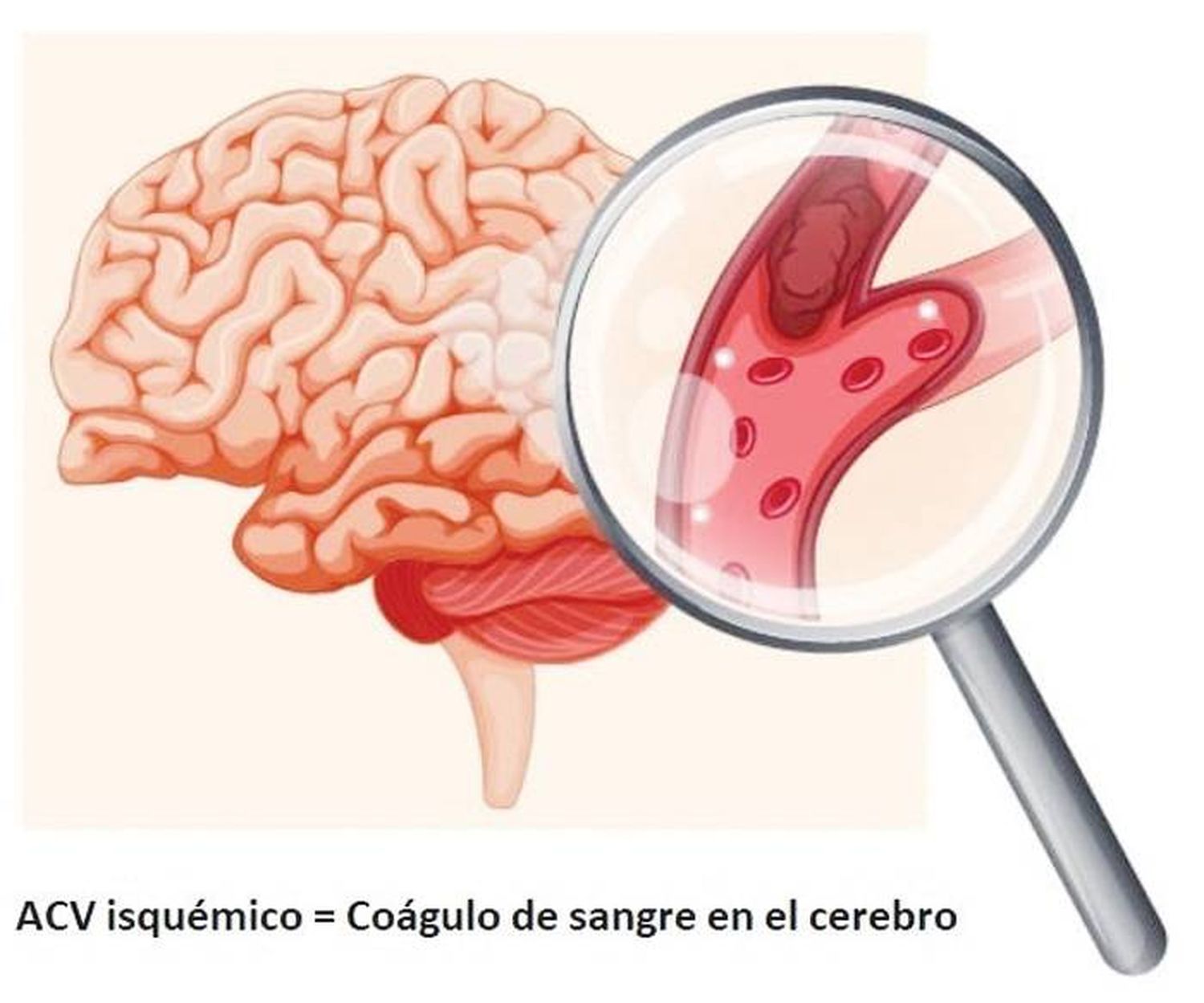 Una semana de  educación,  concientización y  acompañamiento