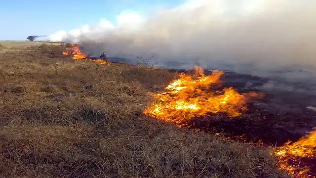 Emergencia agropeacuaria en Villarino: Nuevo financiamiento y ANRs para productores afectados por incendios
