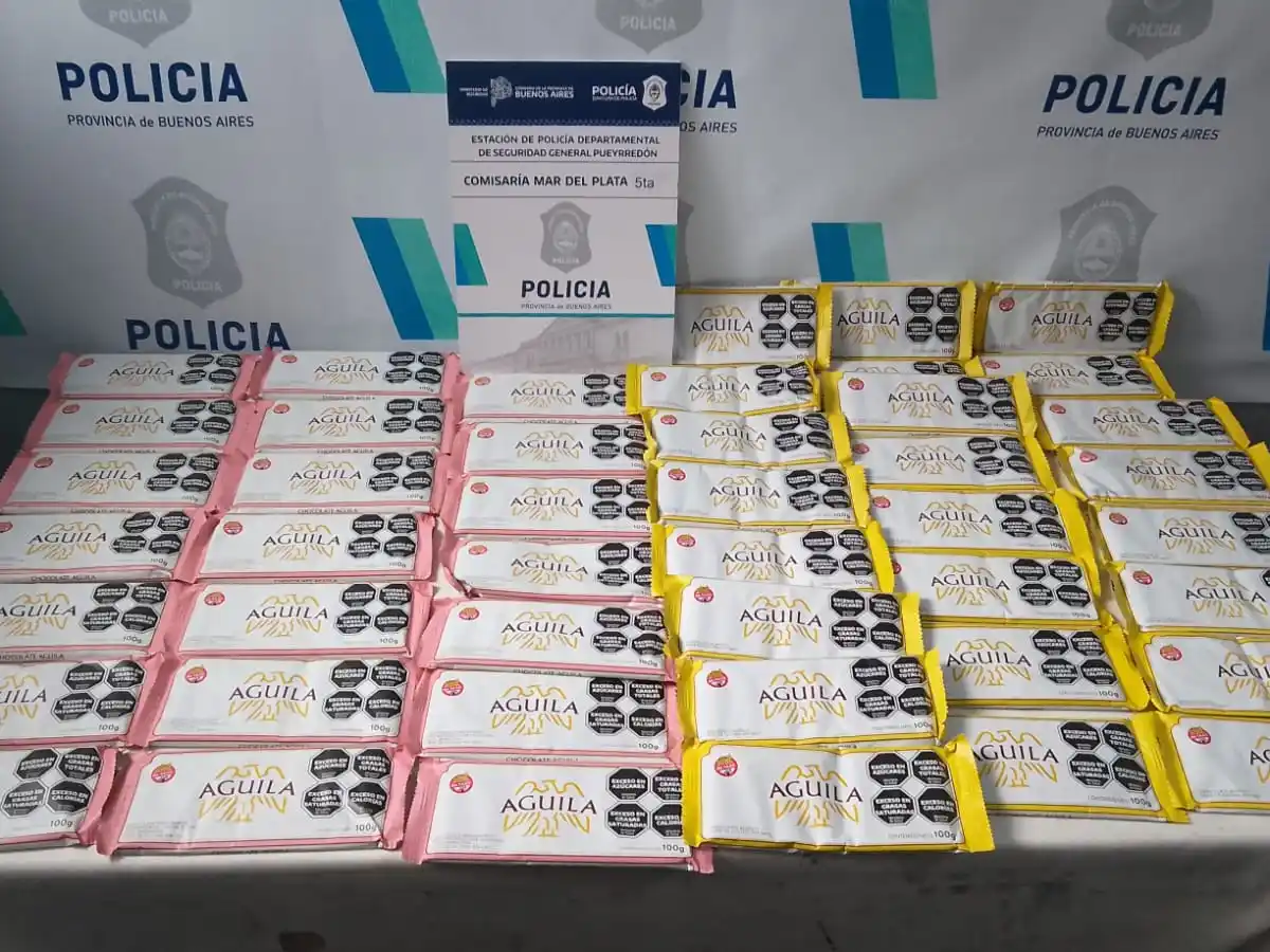 El ladrón fue reducido por trabajadores del comercio.