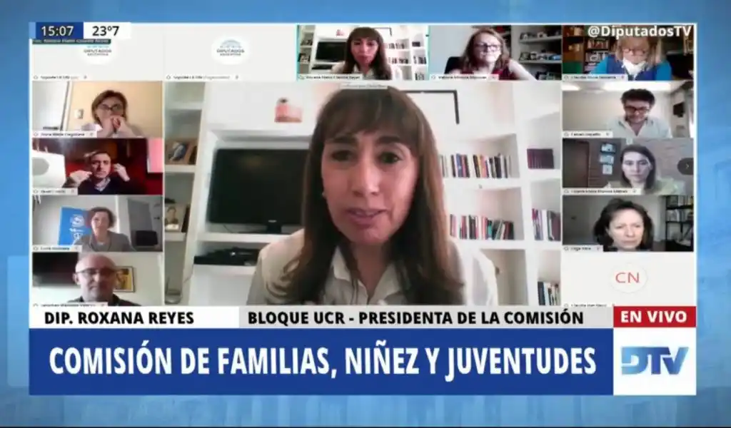 EN VIVO | Representantes de UNICEF exponen en Diputados