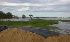 Ramallo: Preocupación por la crecida del Paraná