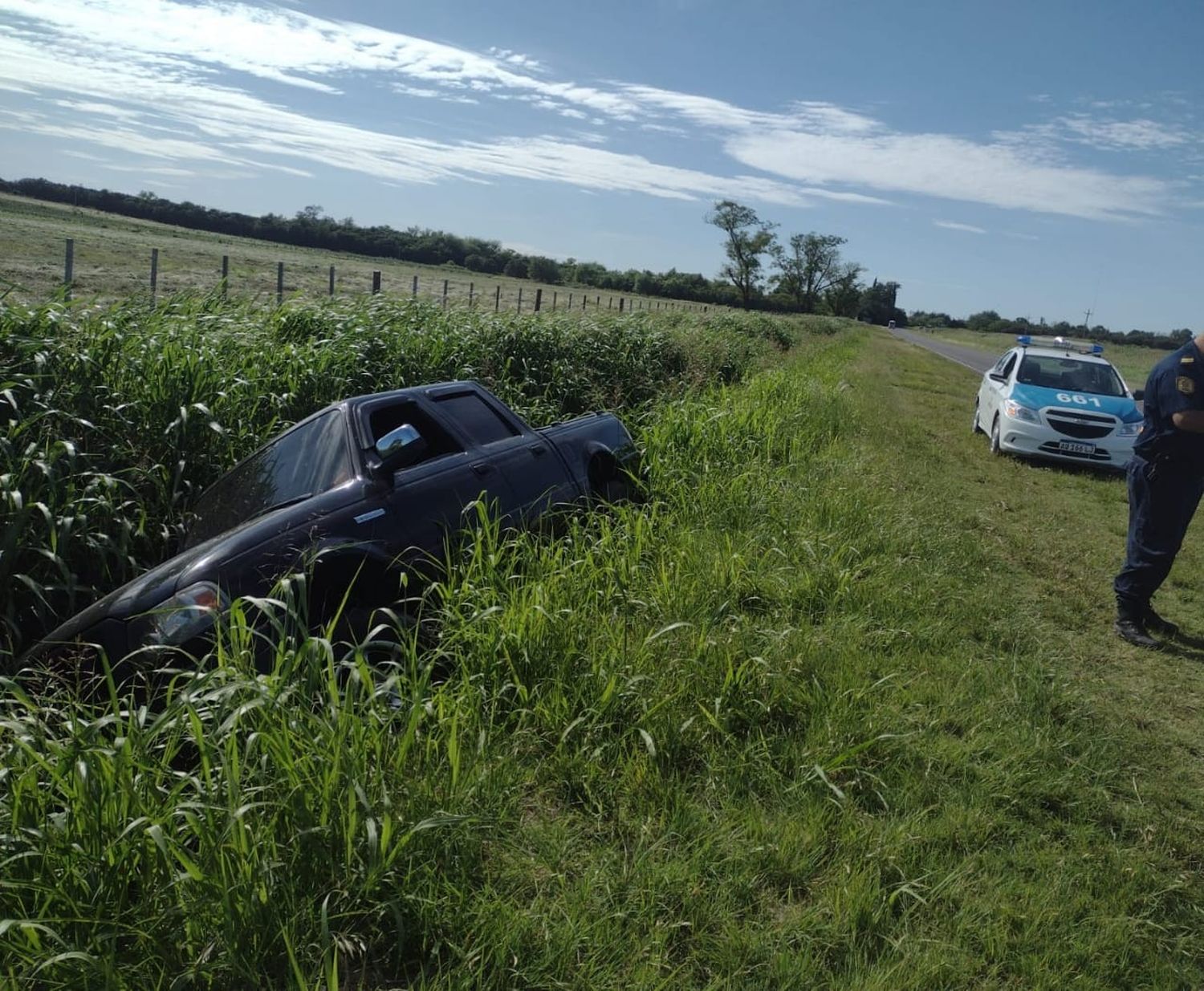 Siniestro vial en ruta provincial Nº 11: Conductor evita animal silvestre y pierde el control