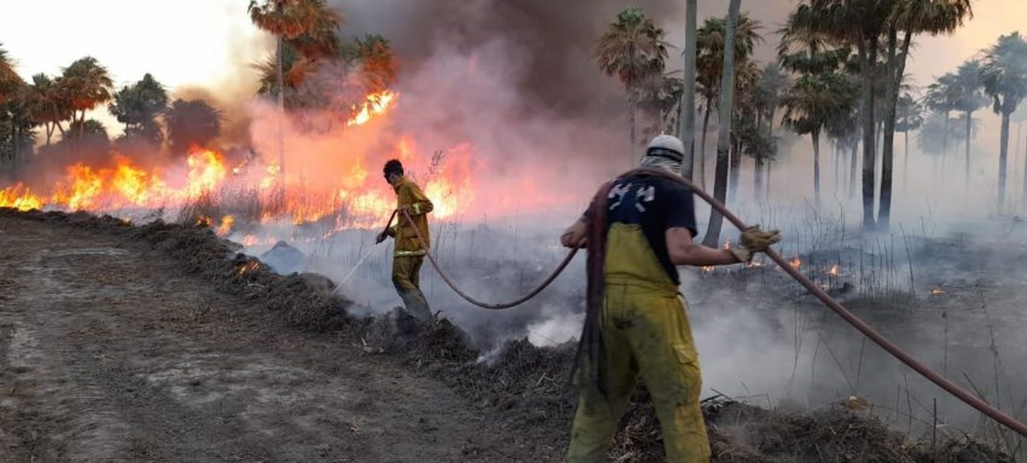 Corrientes: se suman campañas para ayudar a en la lucha contra el fuego