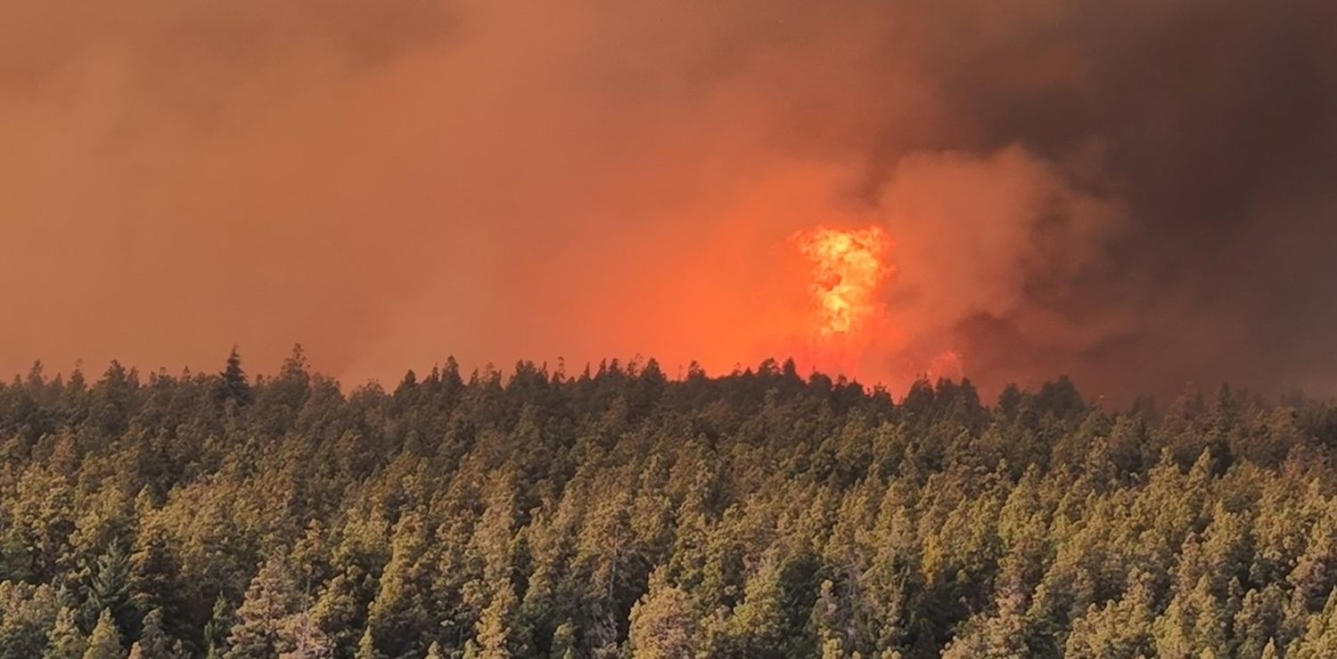 Los incendios en El Bolsón, en Río Negro