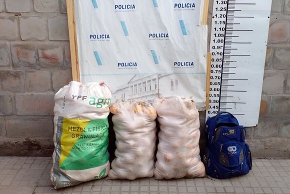 Inseguridad rural: dos detenidos por robar naranjas de un campo