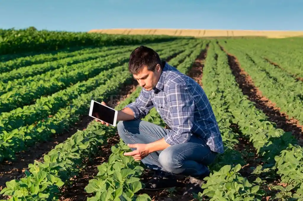 RedES: la iniciativa que busca generar conocimientos sobre sustentabilidad agrícola