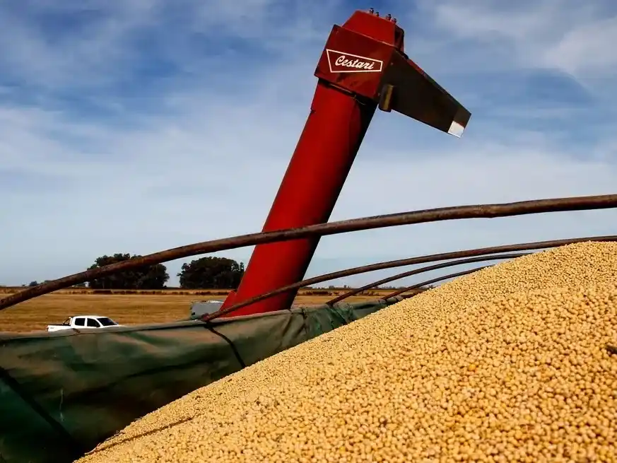 Por las lluvias, se espera una mejora de casi dos millones de toneladas para esta campaña.