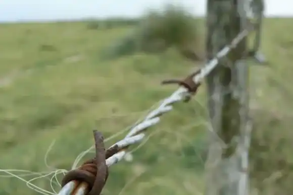 Bajos márgenes y retenciones, fundamentos del 65% de los productores para no invertir