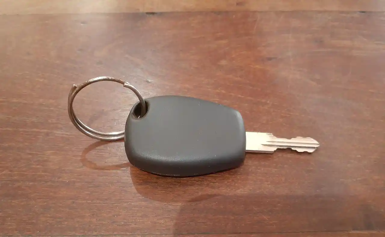 Dante busca llave perdida