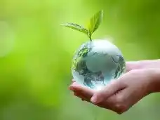 22 de abril: por qué se celebra el Día Internacional de la Madre Tierra