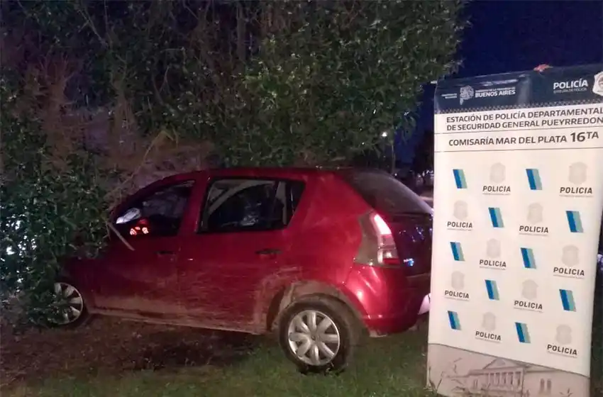Robó un auto con un Tramontina, escapó y en la huida chocó contra un árbol