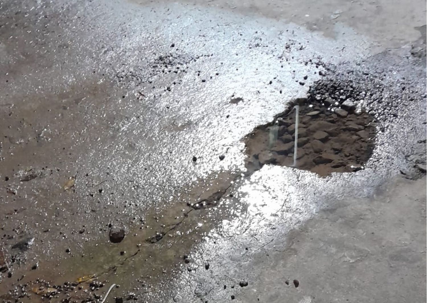 Calle Bottaro: vecinos reportan por un caño roto que daña los subsuelos de las casas