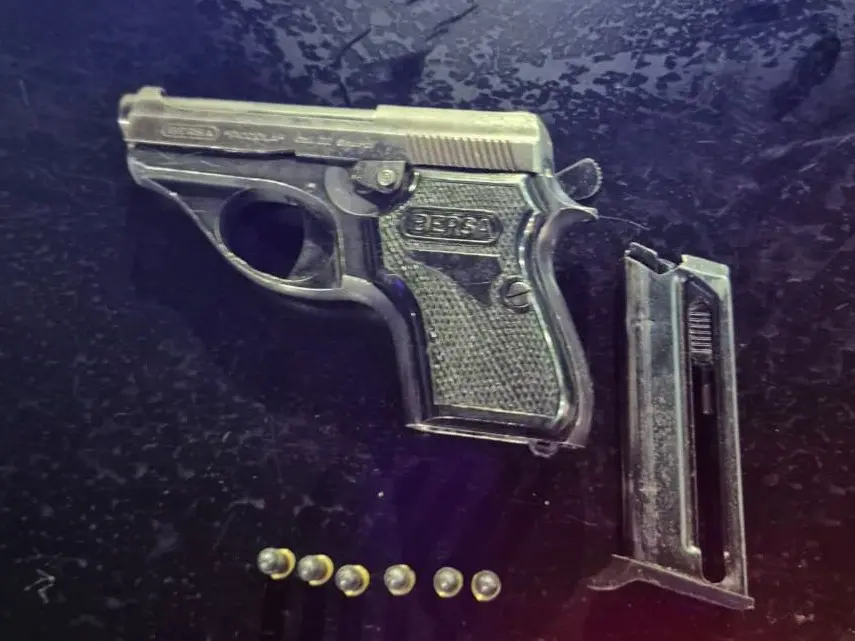 Un hombre que arrojó un arma de fuego en la zona sur fue detenido tras ser identificado con el sistema Lince