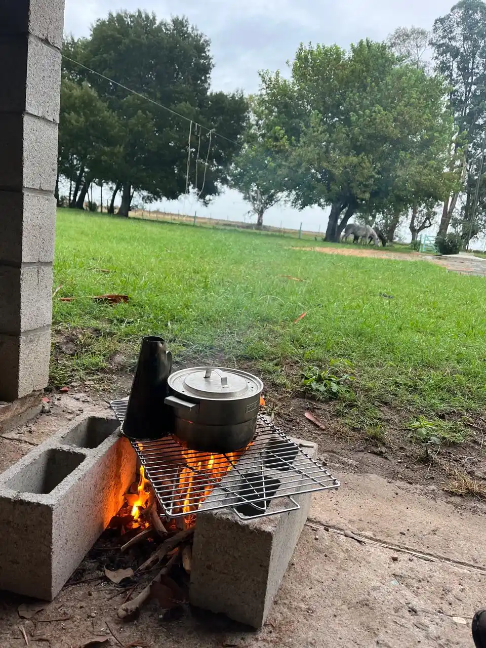 viaje a caballo 11 03 25 - 5