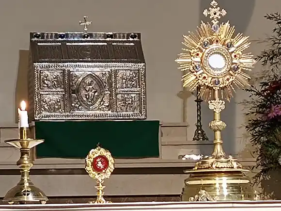 Carlo Acutis, el primer "santo de jean y zapatillas" y su reliquia en una parroquia de Mar del Plata