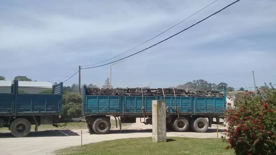 Recuperan material en la planta de tratamiento de residuos