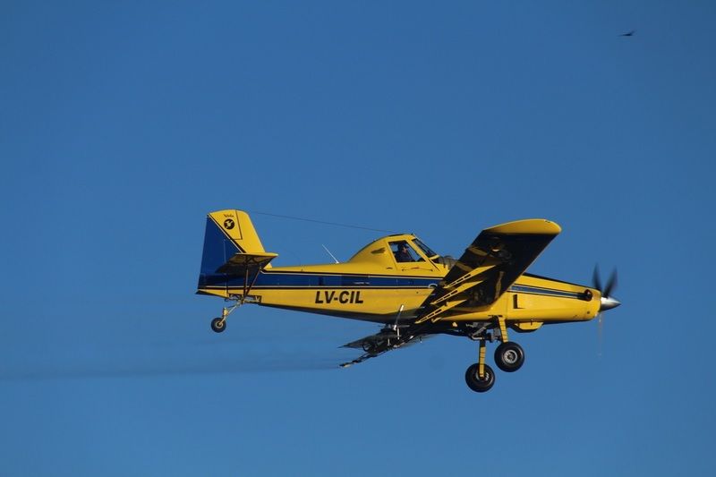 Fumigación aérea en Venado.