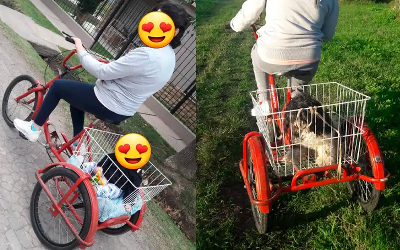 Buscan bicicleta robada