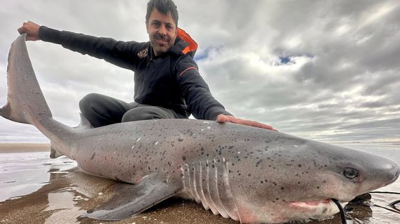 Funcionario de La Costa pescó dos tiburones, subió las fotos a sus redes sociales y desató una polémica inesperada