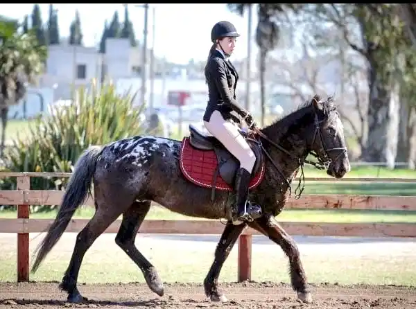 Ashley Irigoin Moron, subcampeona en 0.60