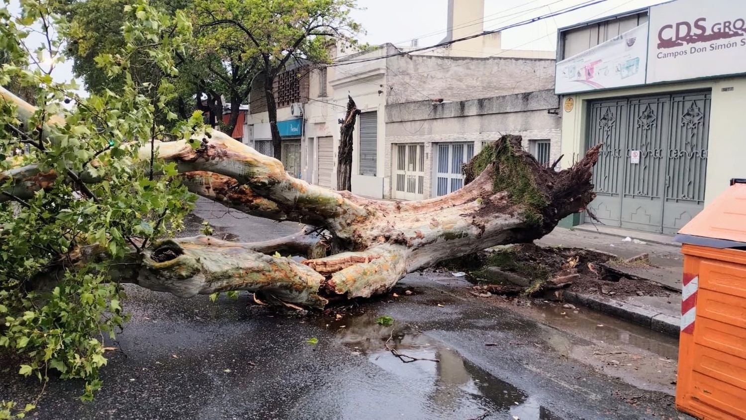 Lo qué dejó el temporal en Rosario y cómo sigue el clima el resto de la semana