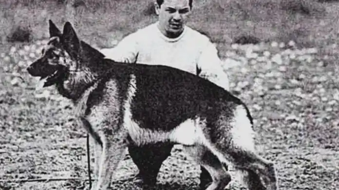 Día Nacional del Perro: la historia de Chonino