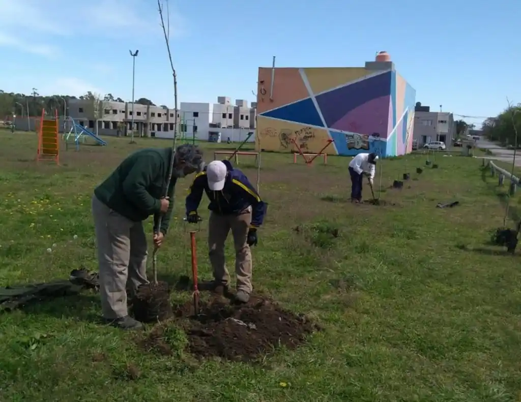 Continúan las tareas de forestación y mejoramiento de espacios verdes en la ciudad