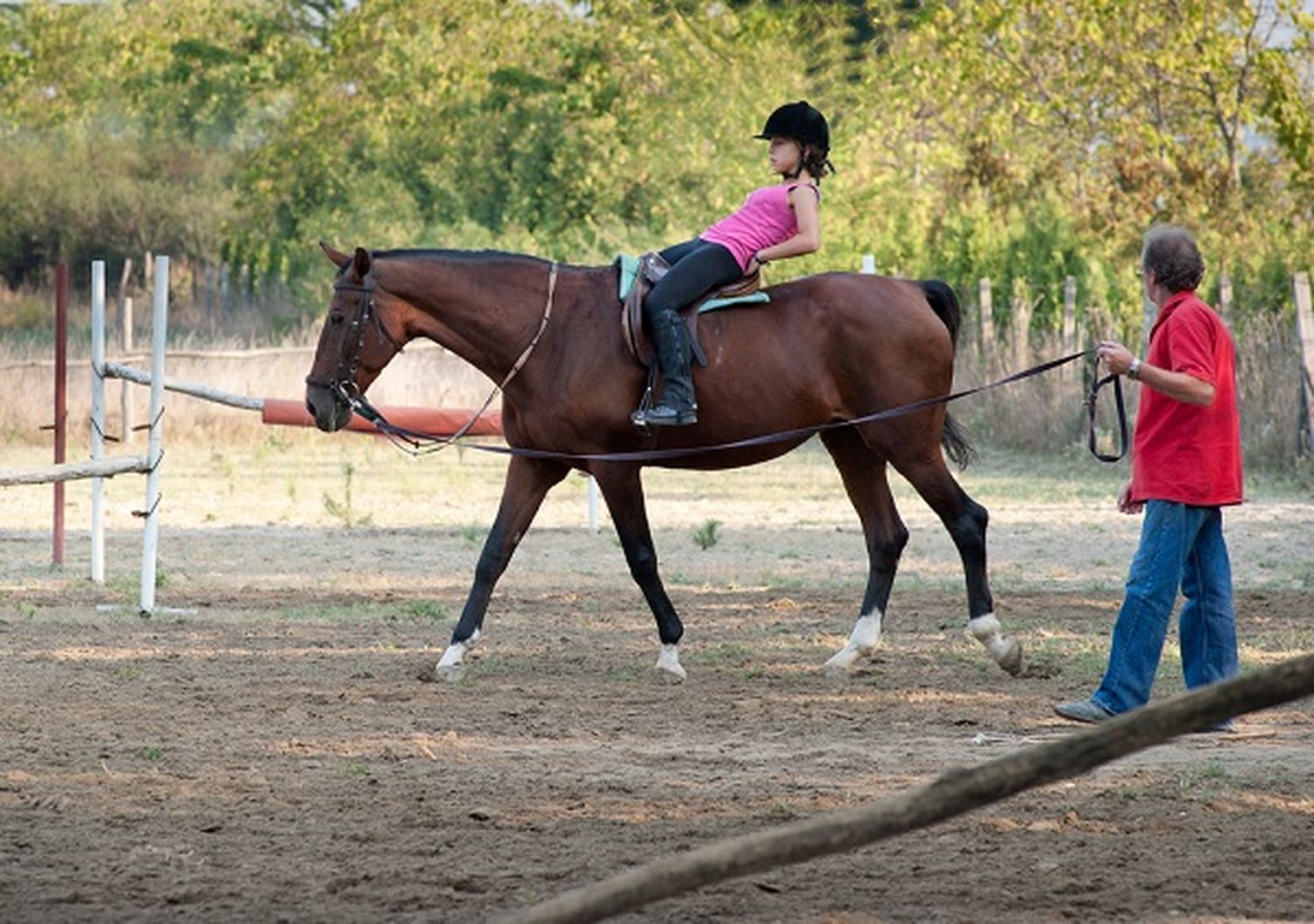 Buscan regular las terapias asistidas con caballos en la Provincia: Lordén pidió que la ley se apruebe en el Senado