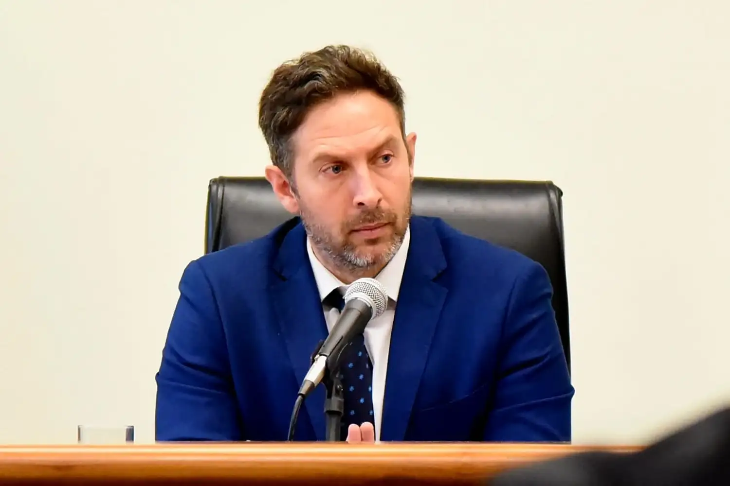 El juez Viceconte validó el juicio abreviado contra dos implicados en multiples robos en la ciudad.