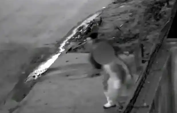 El drama de la madre de la niña violada: Estremecedor relato