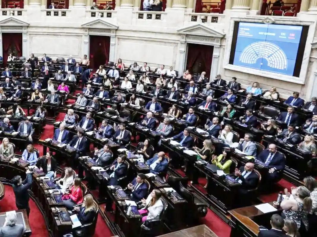 Diputados convocaron a sesión para debatir financiamiento de universidades y Hospital Garrahan