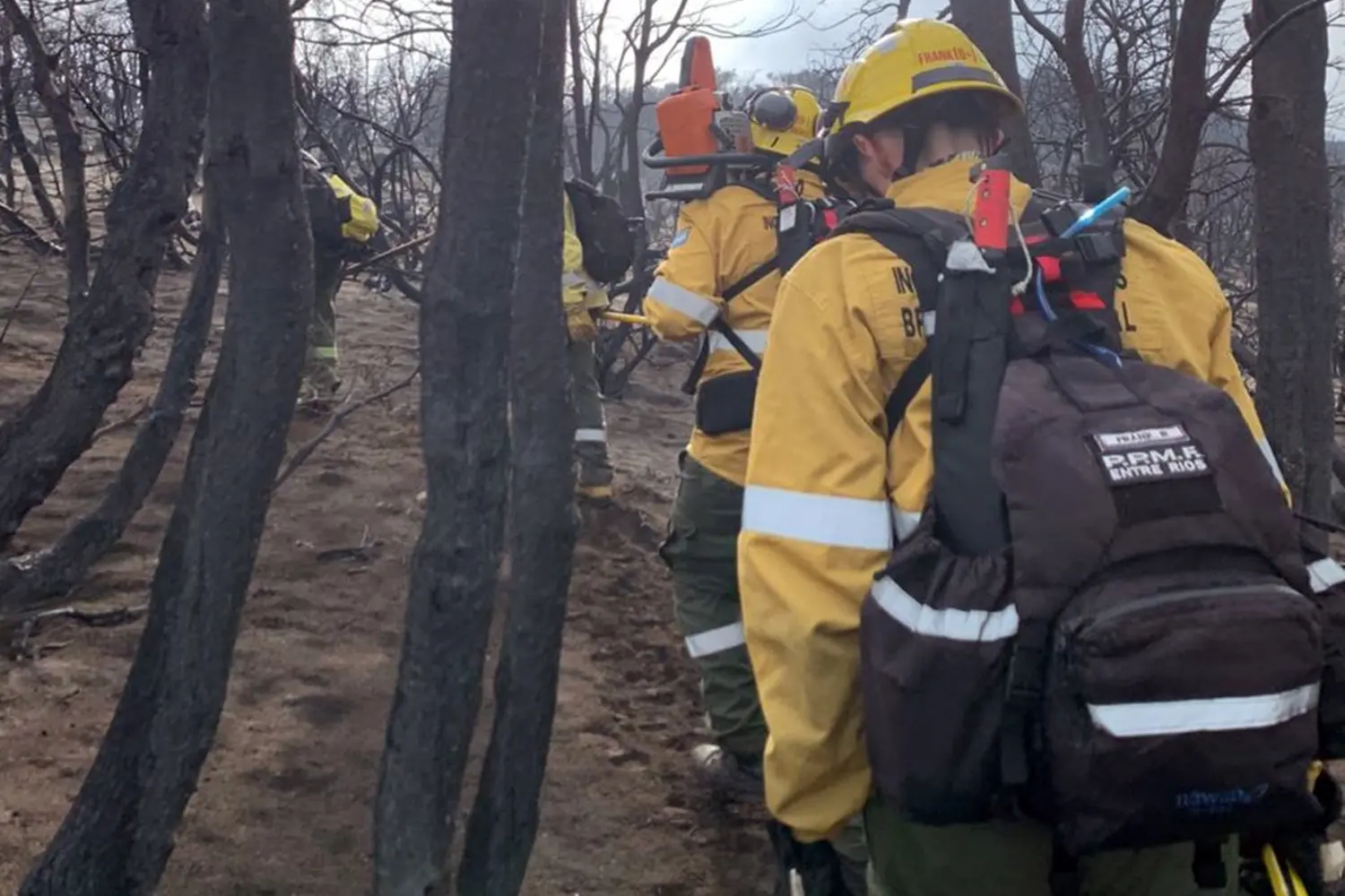 Concluyeron las tareas de los brigadistas entrerrianos en bosques patagónicos