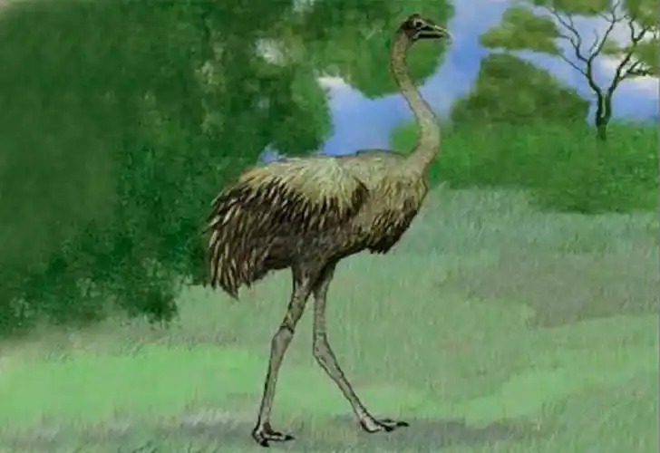 Proponen llamar Néstor Kirchner a una nueva especie de ñandú