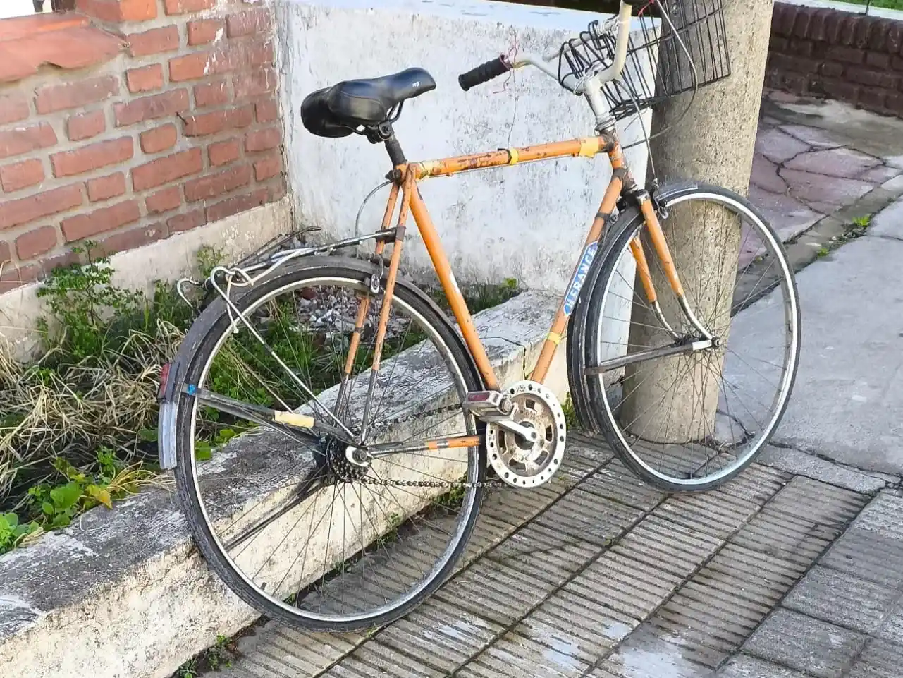 Bicicleta