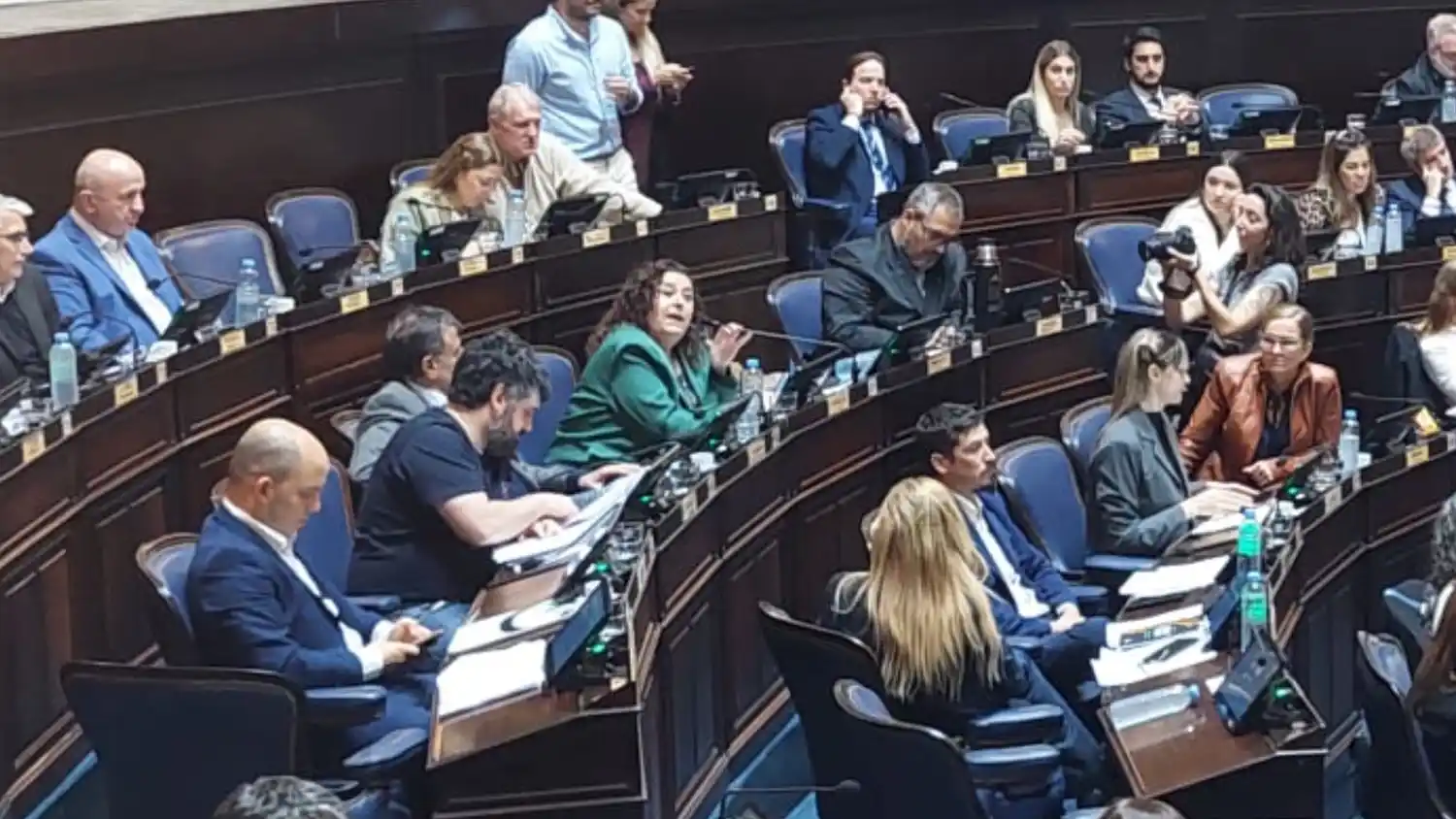 Susana González destacó el proyecto para acompañantes terapéuticos y criticó a Milei por "burlarse de niños con TEA"