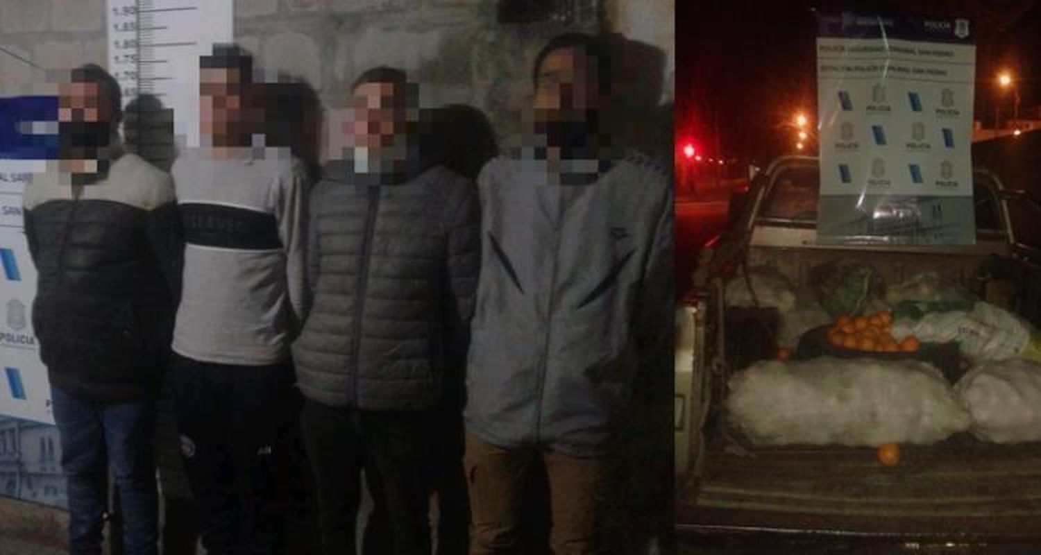 Detuvieron a cuatro jóvenes con bolsas de naranjas robadas de un campo