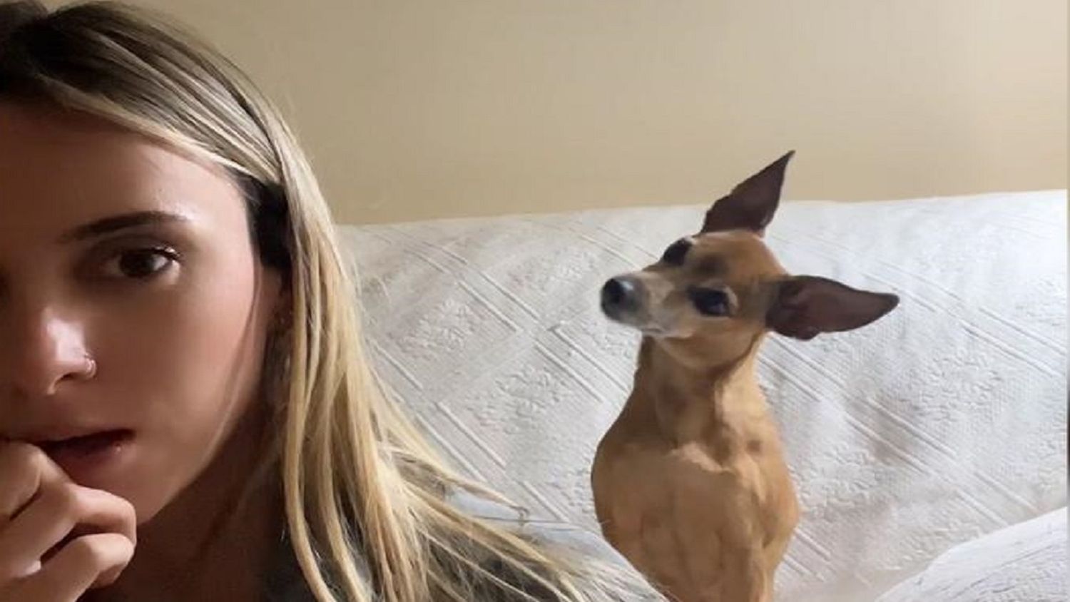 NOA, la perrita que se hizo VIRAL por entender la conversación de su mami humana