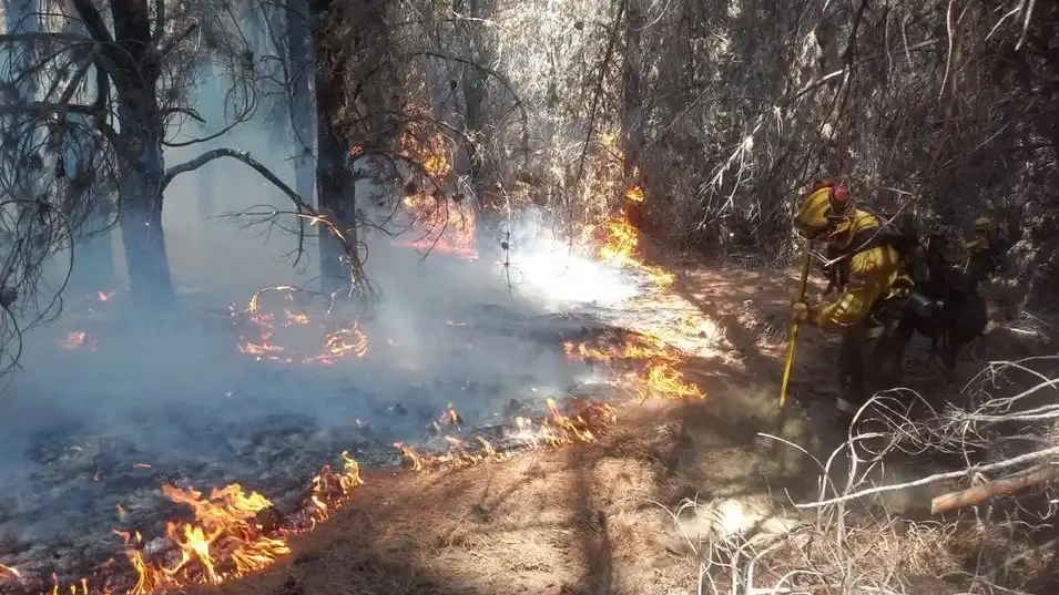 En medio de cuestionamientos, Nación enviará $ 120 mil millones a bomberos de la Patagonia