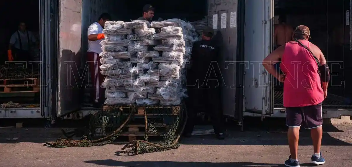 Fideicomiso para el Puerto: "Se está implementando muy a cuentagotas"