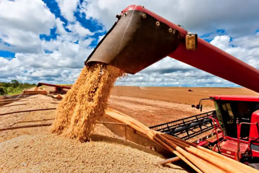 Arranca la baja del impuesto PAIS: qué productos espera el Gobierno que bajen de precio