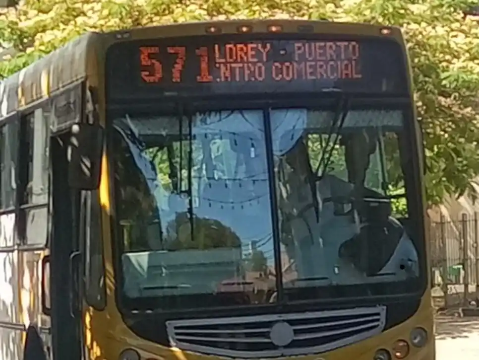 La Provincia instó nuevamente a que el boleto sea gratuito para garantizar el derecho igualitario al voto.