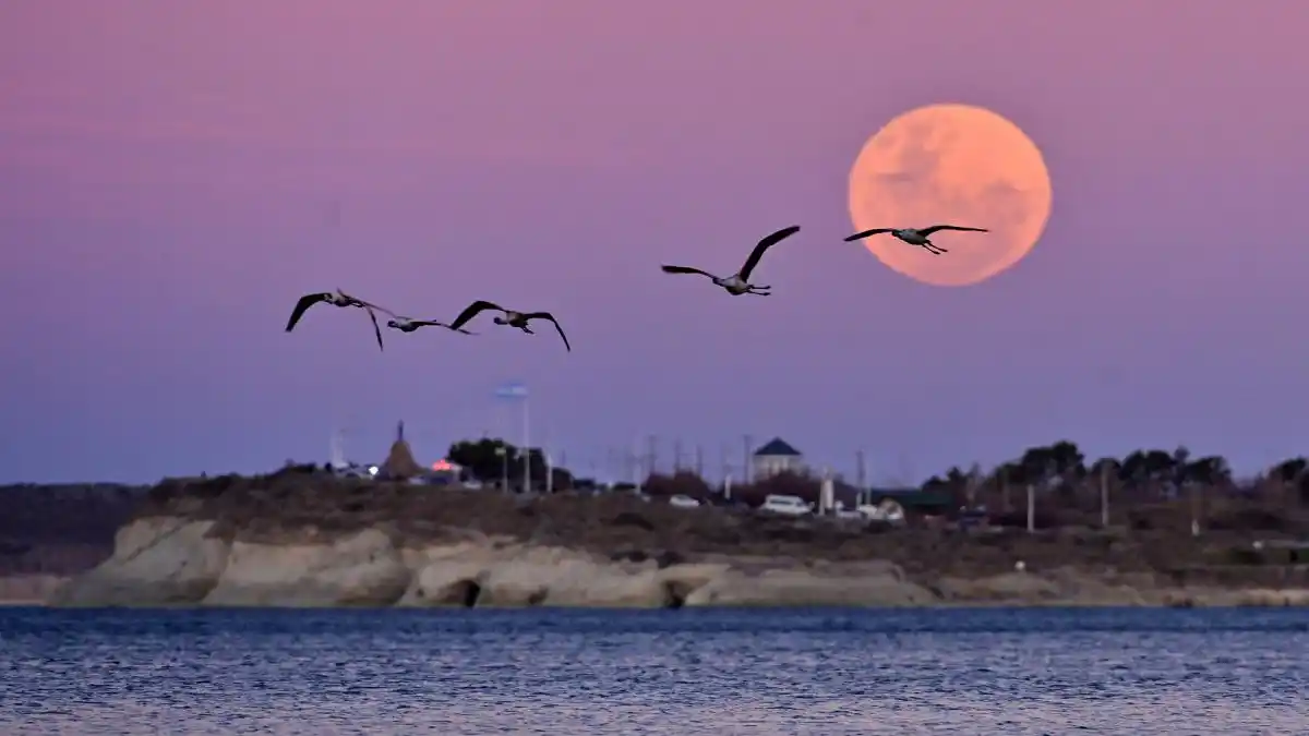 La luna brillante e imponente en Puerto Madryn. (Télam)