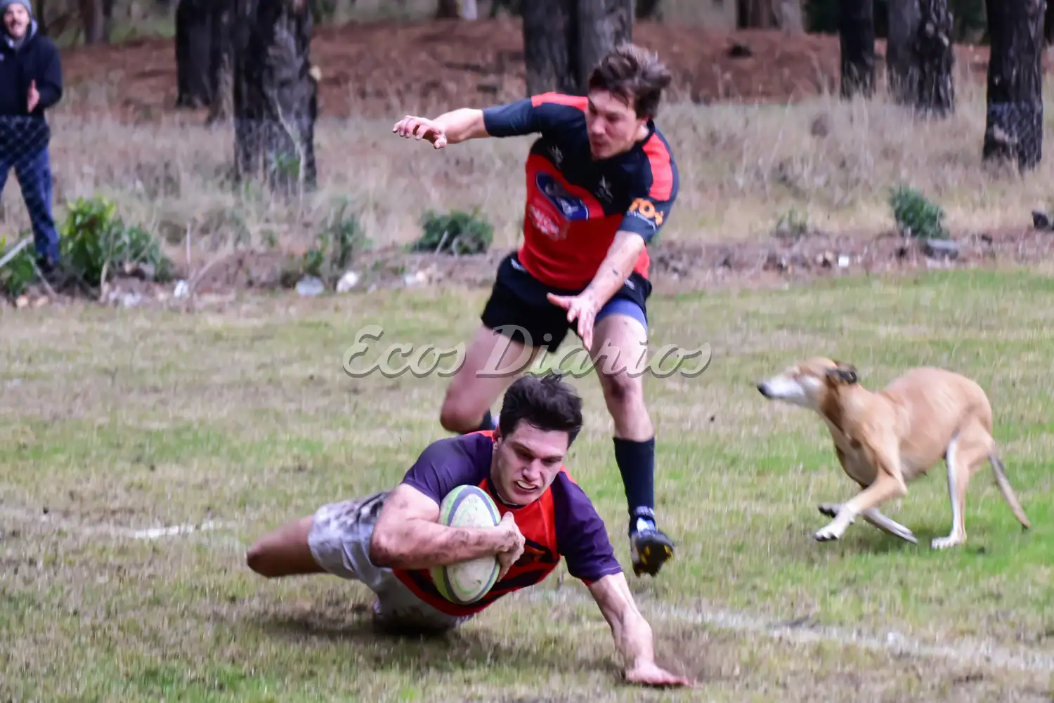 Tiburones, Náutico y un "amigo" que vivió el partido de cerca