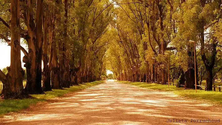 ¿Quién fue Saturnino Enrique Unzué?  