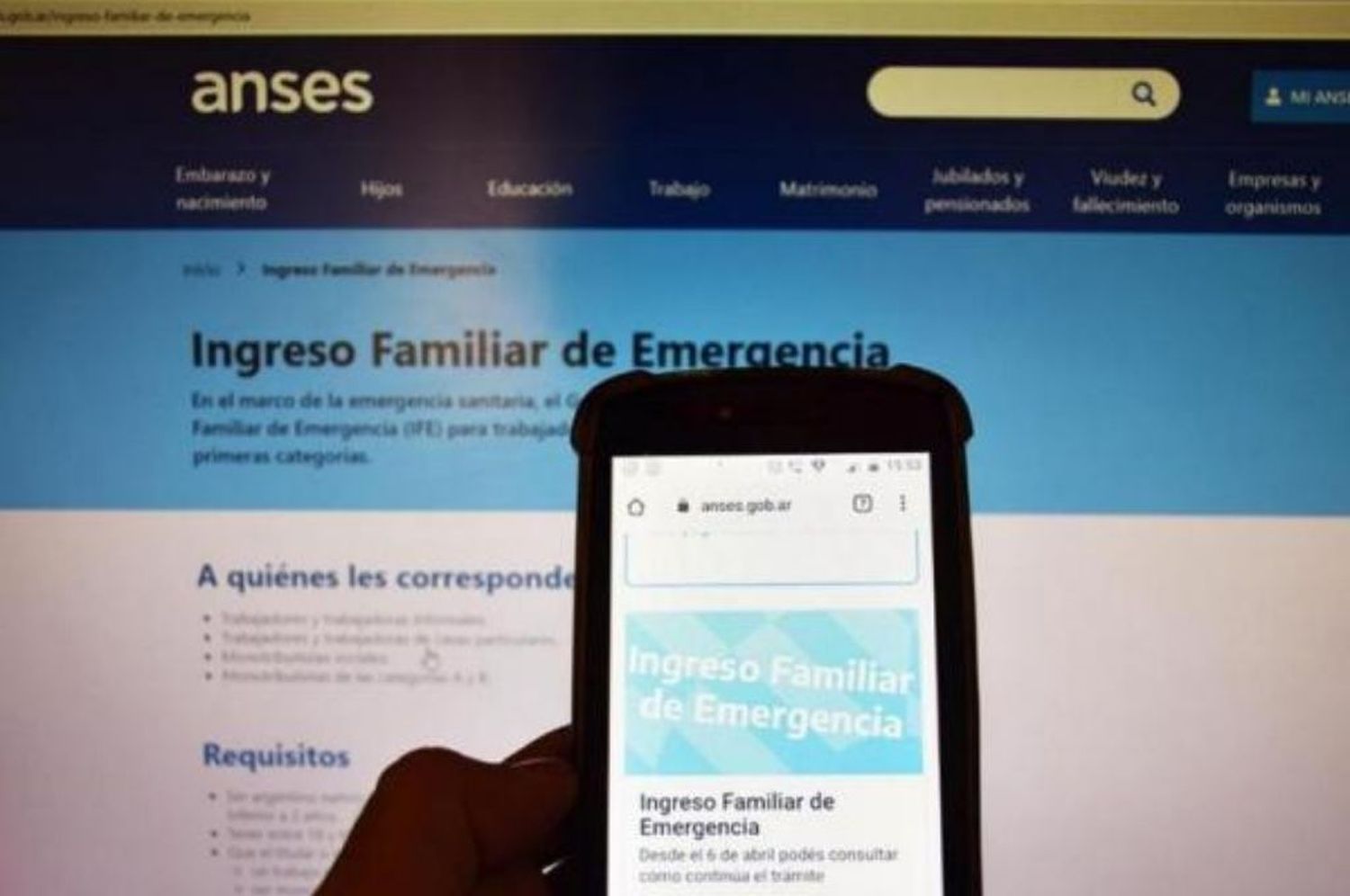 ANSES difundió el calendario de pago del IFE en agosto