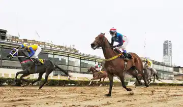 Domingo 14: Actividad Hipódromo de Palermo