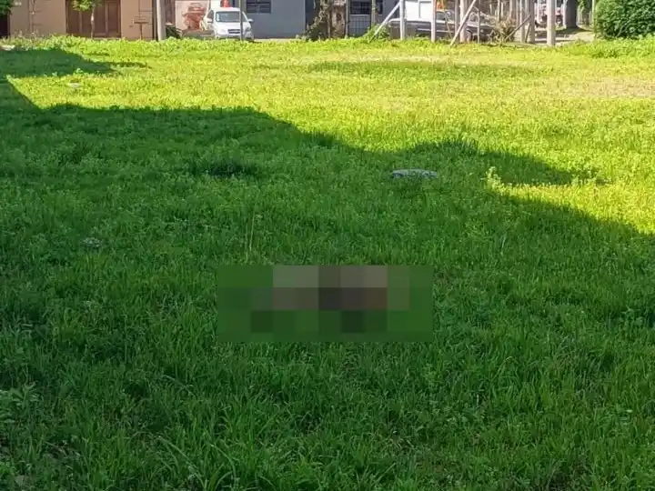Vecinos reclaman por un perrito muerto en 3 de Febrero