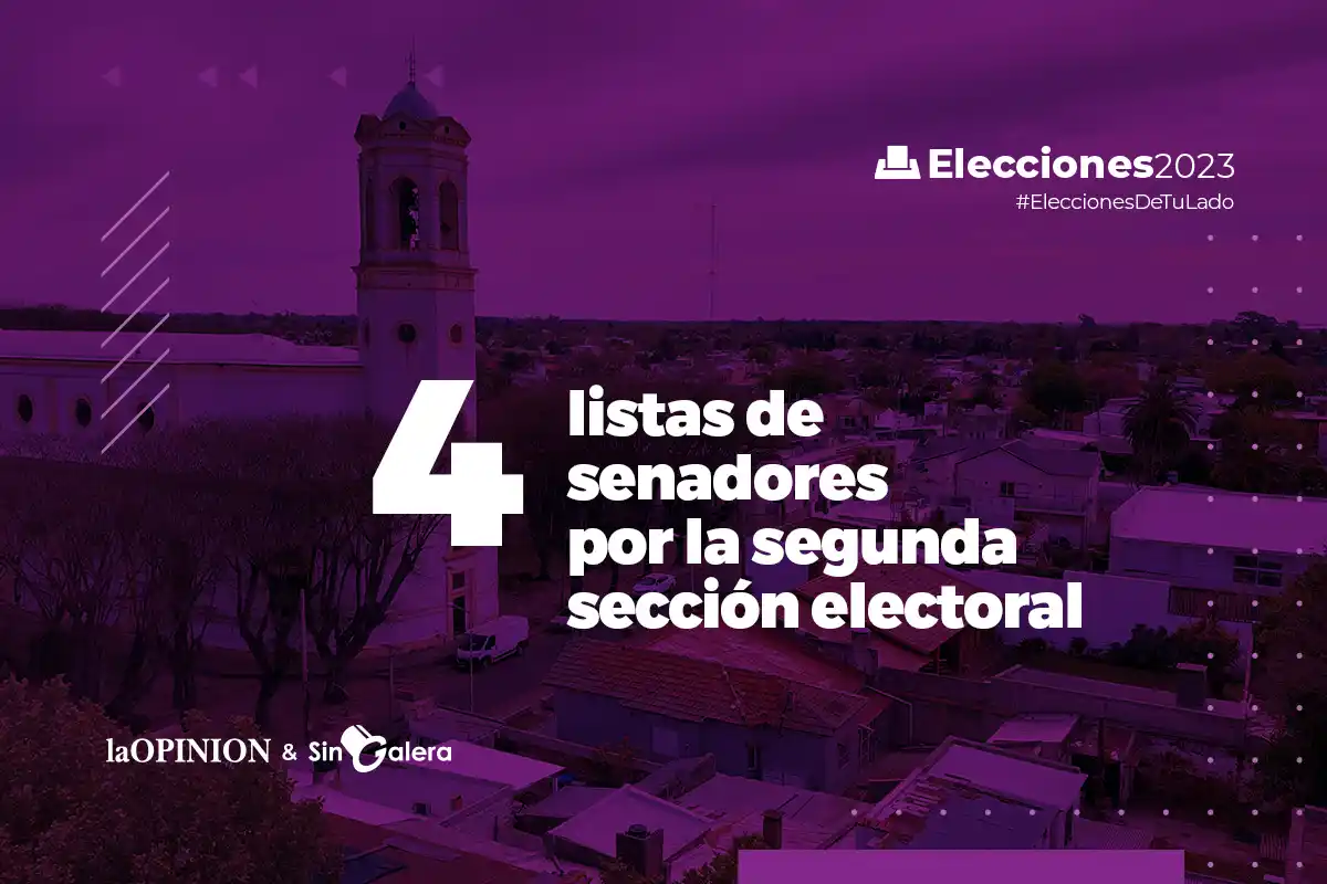 Elecciones 2023: cuatro listas de senadores provinciales, con una candidata sampedrina