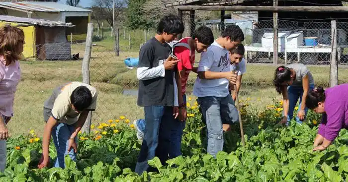 Se promulgó la ley que crea el Programa de Huertas Escolares