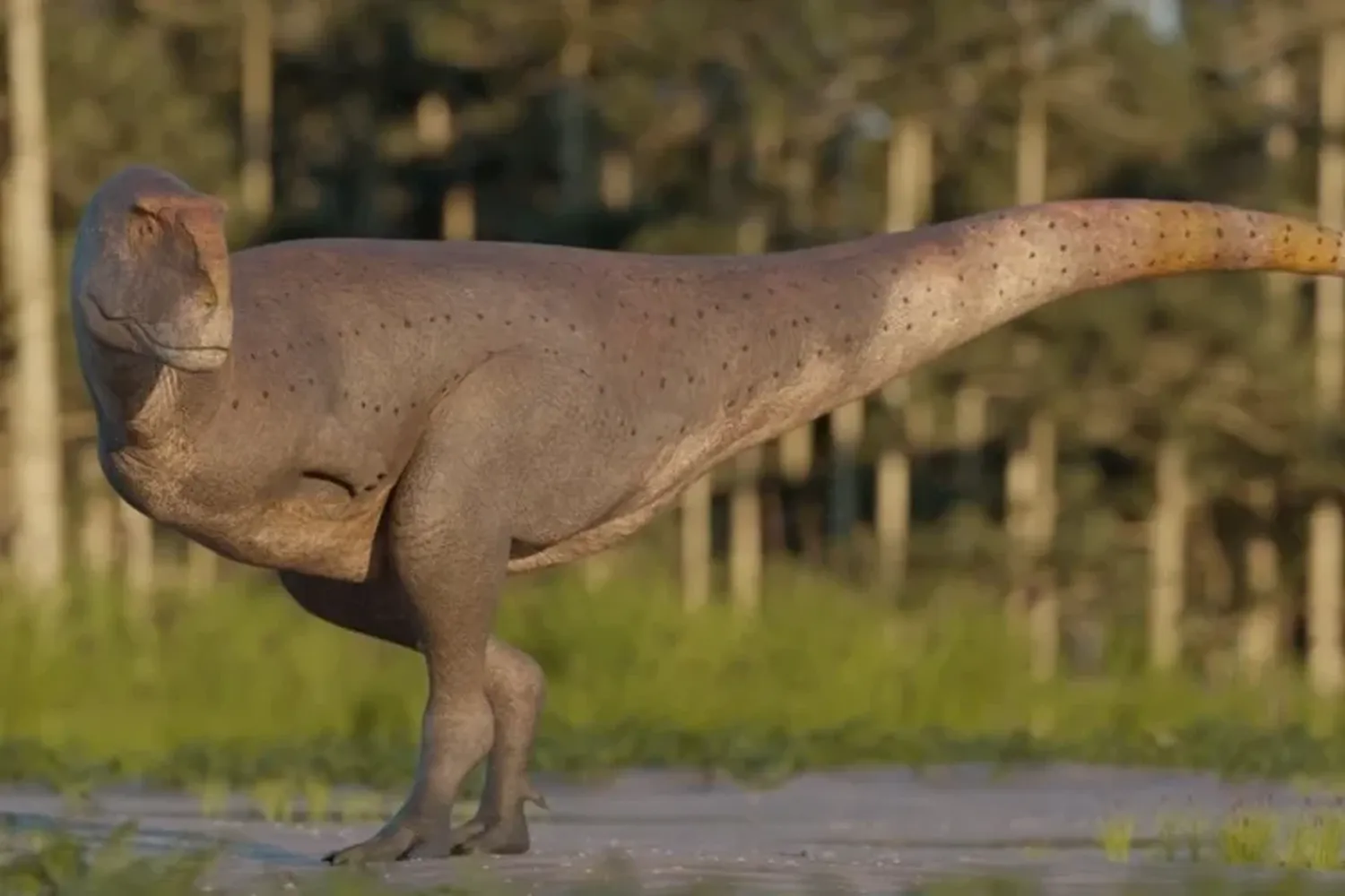 Descubrieron en Chubut una nueva especie de dinosaurio carnívoro